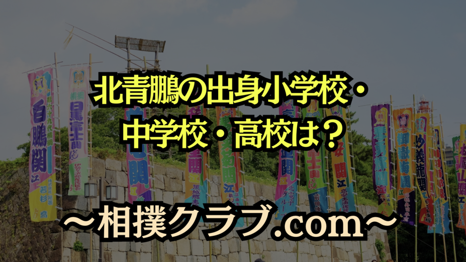 北青鵬の学生時代｜札幌から鳥取へ！通った小学校・中学校・高校を徹底調査